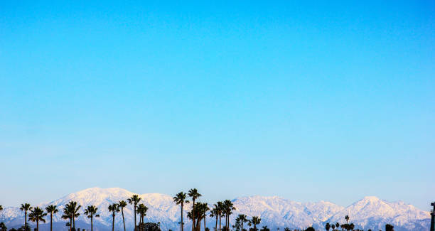 istock California Mountains and Palm Trees 1309309214