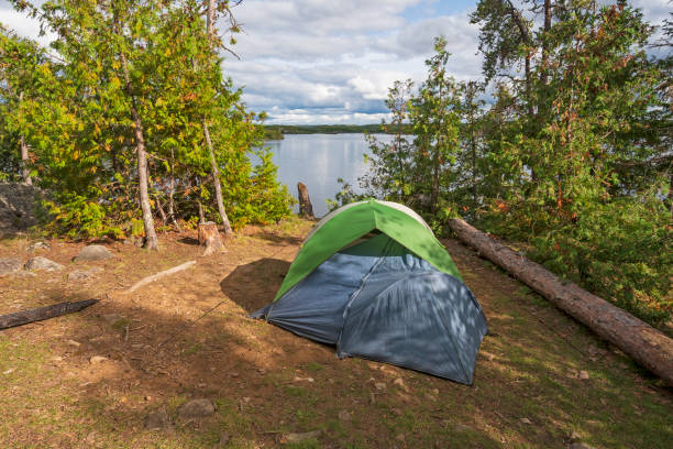 istock Campsite in the Great North Woods 1309309402
