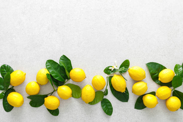 istock Lemons. Fresh juicy lemons with leaves on white background 1309310593