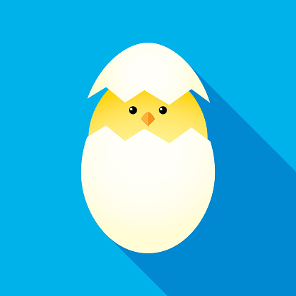 Vector illustration of a cute chick hatching from an egg on a blue square background.