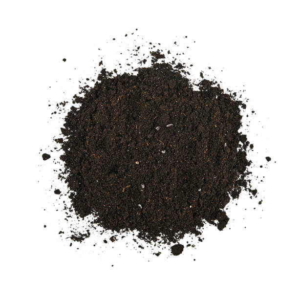 Heap of black humus soil over white Close up one heap of black humus soil isolated over white background, elevated top view, directly above soil sample stock pictures, royalty-free photos & images