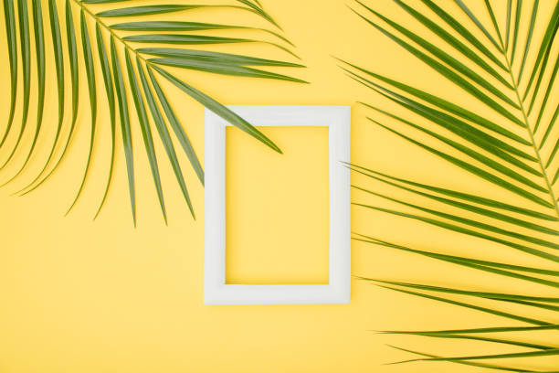 istock Frame and palm leaves on a yellow background. Tropical summer white frame concept on Illuminating background. 1309313067