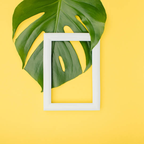 istock Frame and green leaf on a yellow background. Tropical summer white frame concept on Illuminating background. 1309313076