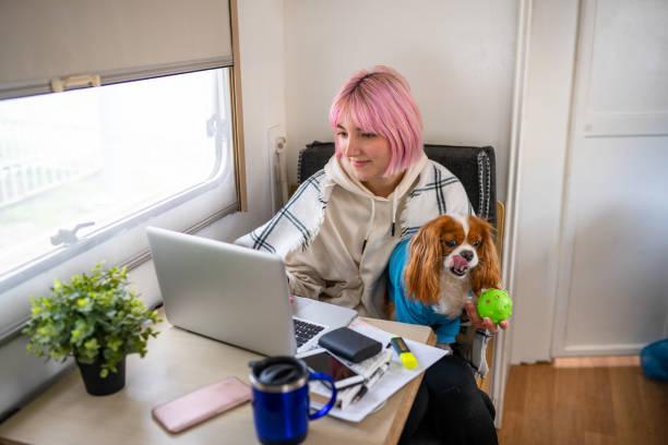 istock Pink haired woman working from caravan with her dog 1309315194