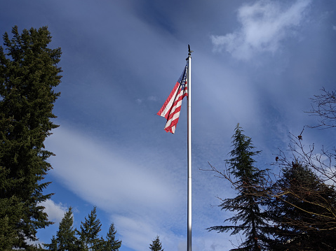 American flag in the woods