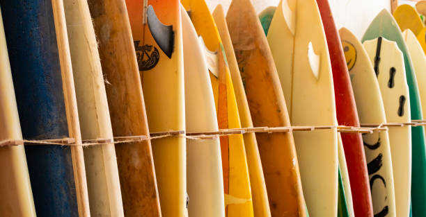 retro vintage surfboards lined up in a local surf shop - skeg imagens e fotografias de stock