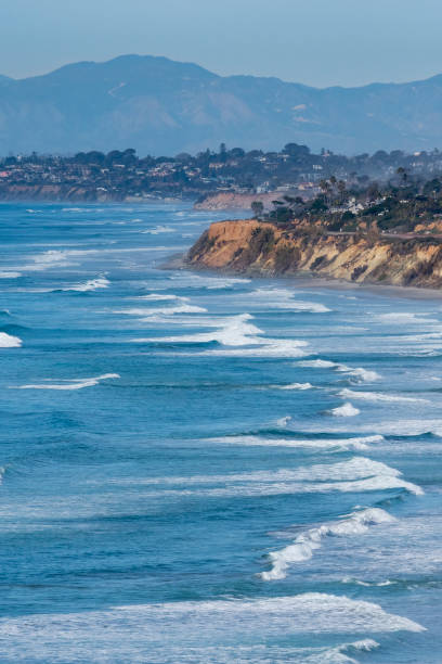 wybrzeże kalifornii w pobliżu san diego - torrey pines state reserve zdjęcia i obrazy z banku zdjęć