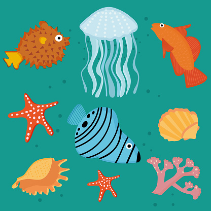 Cartoon set of sea life items for your design, prints