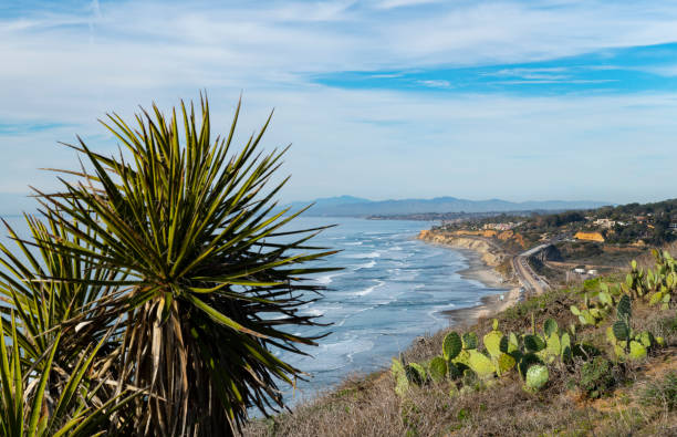 istock California coastline near San Diego 1309319881
