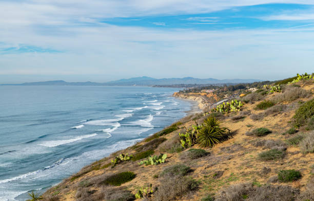 istock California coastline near San Diego 1309320043