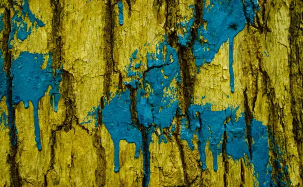 Tree Bark Painted With Number three and an Arrow. Hiking marking on a tree in the woods. Number 3 drawn on a tree trunk with blue paint.A background with texture bark of tree it is horizontally. Numbering on trees.