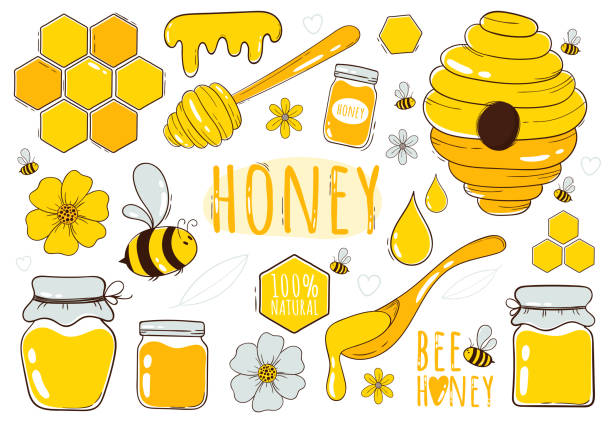 Honey and beekeeping collection Honey and beekeeping collection. Set of bee, honey jars, hive, flowers, honeycomb and honey spoons isolated on white background. Hand drawn cartoon style vector illustration. bee clipart stock illustrations