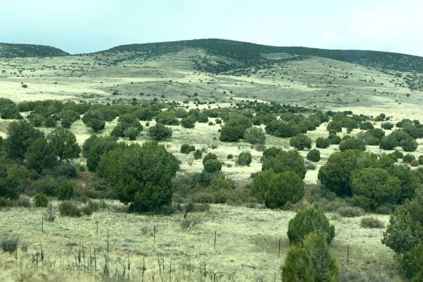 istock Mountain View with Desert Grass and Shrubs 1309321764