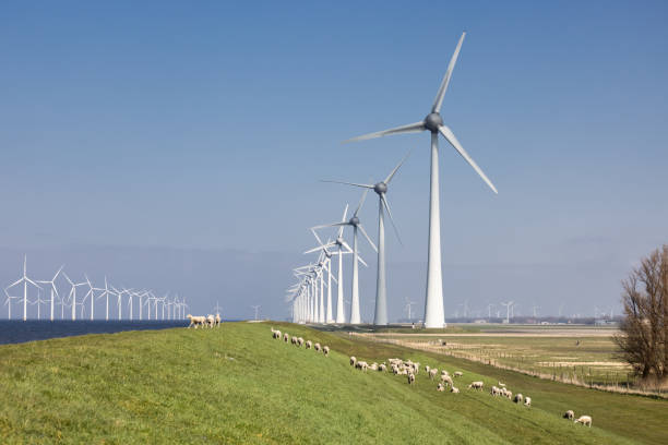 istock Dutch dike along IJsselmeer with wind turbines and sheep 1309327101