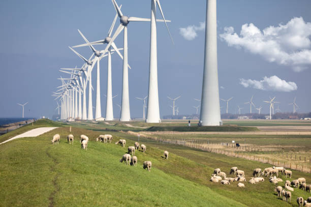 istock Dutch dike along IJsselmeer with wind turbines and sheep 1309327102