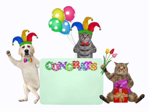 istock Pets clowns near green blank poster 2 1309327967