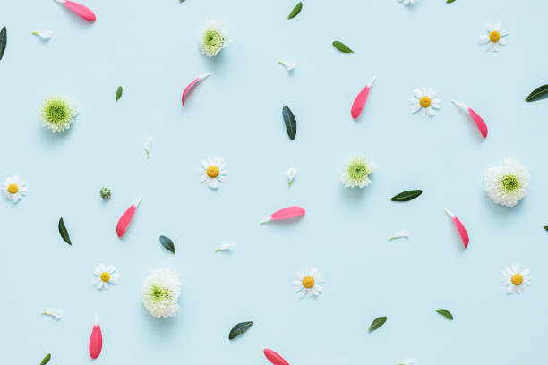 istock Flowers pattern background. Flowers, petals and leaves on light blue background. 1309329092