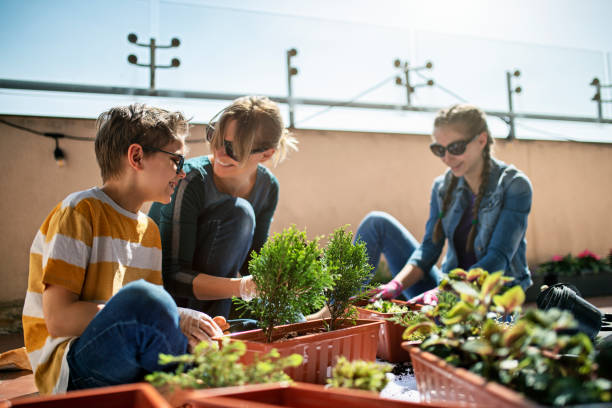 istock Family having fun potting flowers on balcony 1309330254