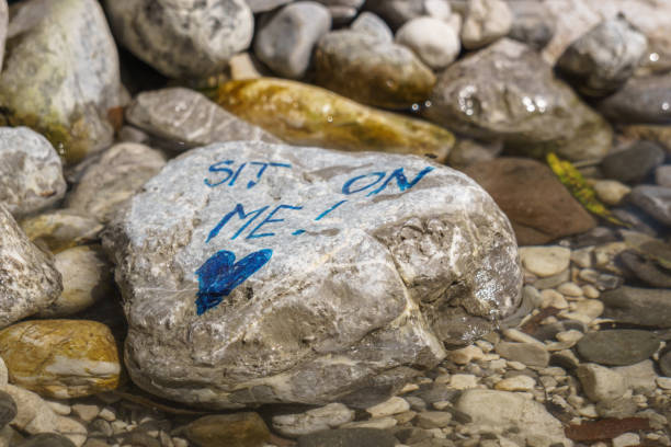 istock Stone in river with letters telling sit on me 1309334034
