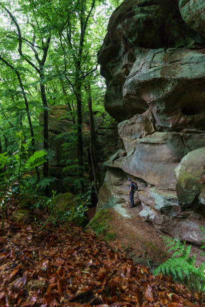istock Mullerthal rock formation in green forest with small person at spring timer 1309334048