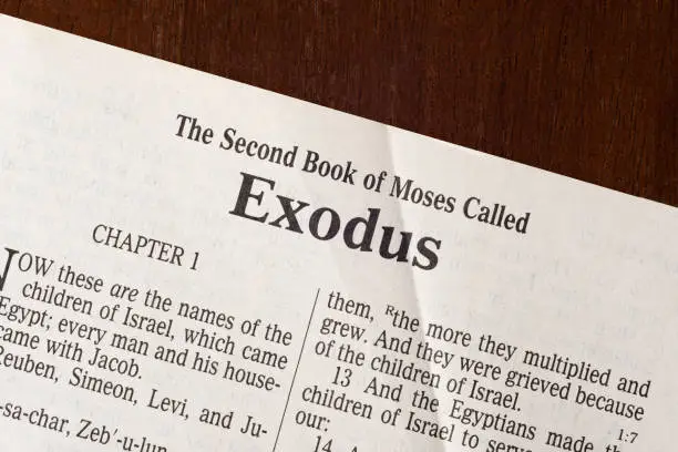 A razor-sharp macro photograph of the first page of the book of Exodus.