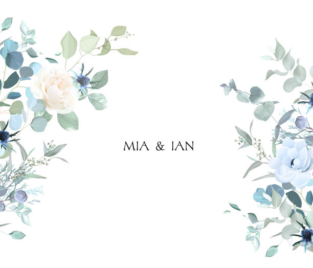 kremowa beżowa róża, anemon, zakurzone niebieskie osety, eukaliptus, zieleń, jałowiec, rama wektorowa brunia - kwiat stock illustrations