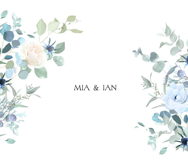 Creamy beige rose, anemone, dusty blue thistles, eucalyptus, greenery, juniper, brunia vector design frame Creamy beige rose, anemone, dusty blue thistles, eucalyptus, greenery, juniper, brunia vector design frame. Wedding seasonal flower card.Floral watercolor composition.Elements are solated and editable blue roses stock illustrations
