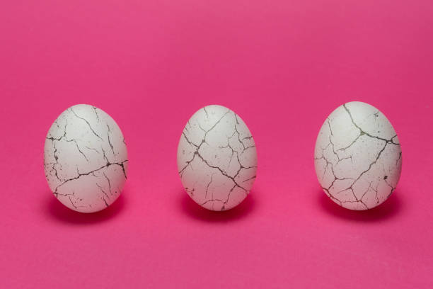 istock Three organic white chicken eggs with cracked like paint on pink background. 1309340789