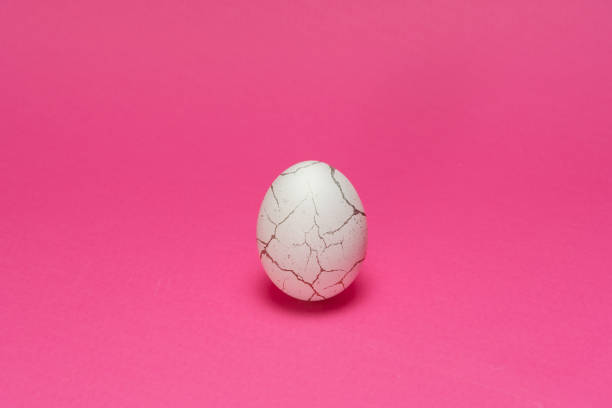 istock Chicken organic white egg  with cracked like paint. Pink background. 1309340795