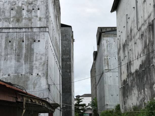 istock Swallow Bird Building in Samuda, Center Borneo, Indonesia 1309341547