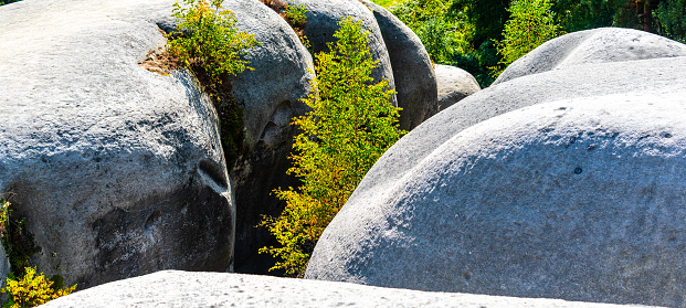 Elephant Sandstone Rocks, Sloni kameny, near Jitrava in Lusatian Mountains, Czech Republic