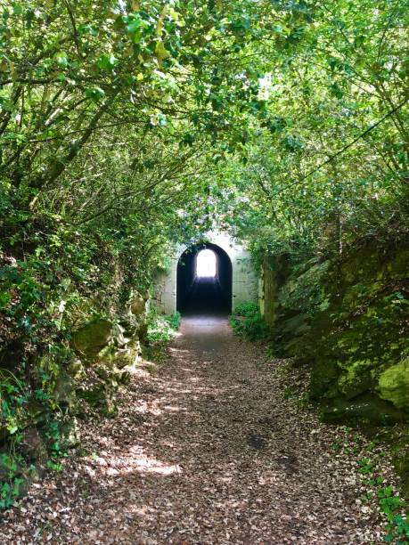 istock The secret garden awaits. 1309344180