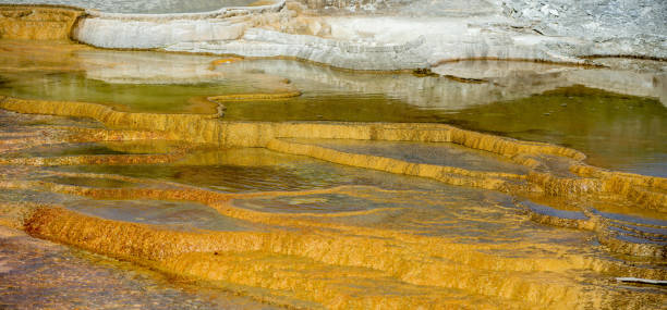 Travertine Terraces, Mammoth Hot Springs, Yellowstone Travertine Terraces, Mammoth Hot Springs, Yellowstone norris geyser basin photos stock pictures, royalty-free photos & images