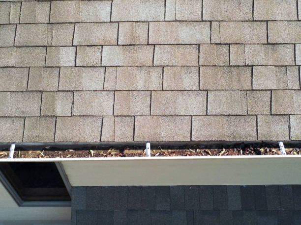istock leaves and debri in typical home at roof 1309346631