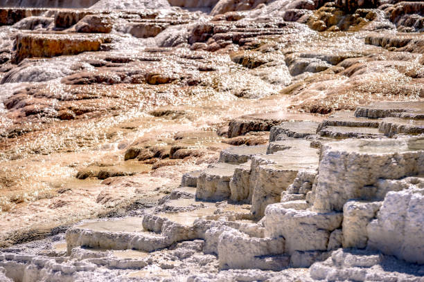 Travertine Terraces, Mammoth Hot Springs, Yellowstone