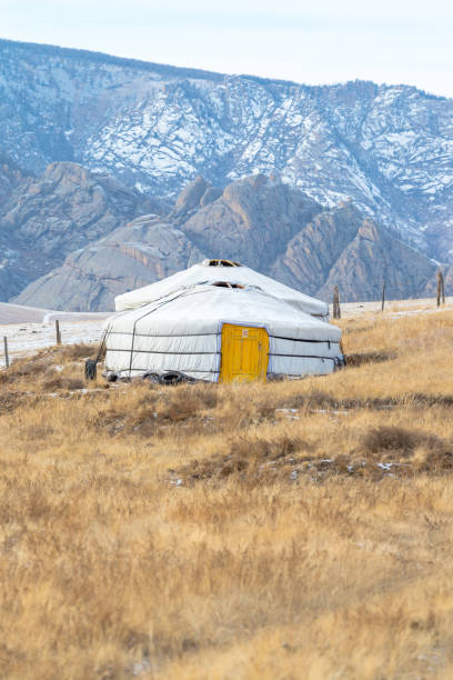 モンゴル・ウランバートルのゴルキ・テレリ国立公園 - independent mongolia 写真 ストックフォトと画像