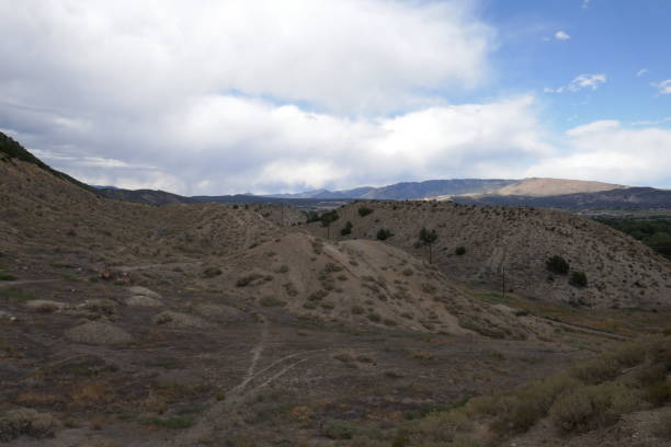 istock Dry climate vegetation on dry mountainous landscape 1309353935