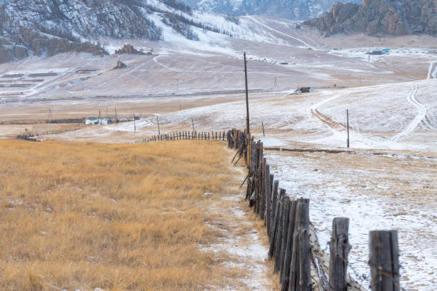 モンゴル・ウランバートルのゴルキ・テレリ国立公園 - independent mongolia 写真 ストックフォトと画像