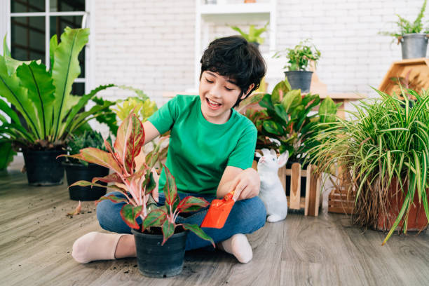 アジアの男性の子供は、自宅の屋内観葉植物に植える準備をするために鍋の土壌をすくうことによって植物の世話を楽しんでいます。勉強活動で遊ぶ。子供のレジャーとライフスタイル。 - still life growth nature image type ストックフォトと画像
