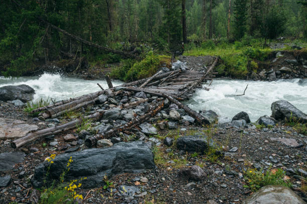 istock Atmospheric rainy landscape with forest and bridge over mountain river. Dark forest scenery with powerful river in rain. Bridge across mountain river in rainfall. Mountain creek in rainy weather. 1309357184