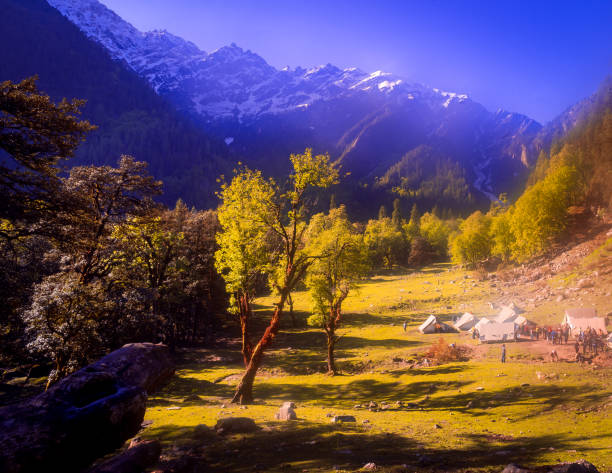 istock Autumn landscape in the mountains. 1309357190