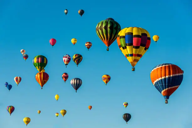 A group of hot air balloons fill a blue sky.