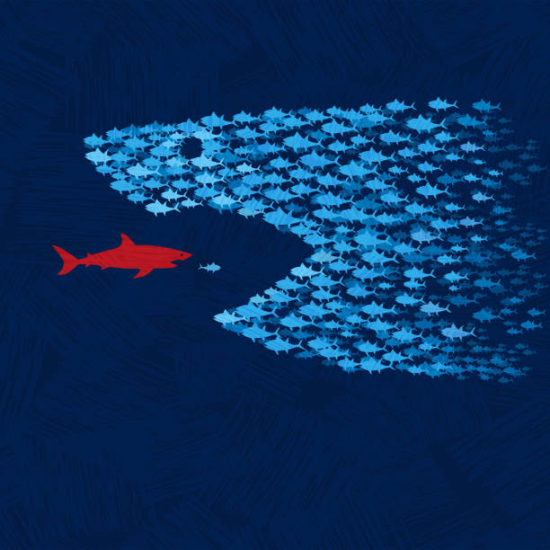 illustrazioni stock, clip art, cartoni animati e icone di tendenza di la scuola di piccoli pesci blu si riunisce e unisce le forze per sopraffare lo squalo rosso. - school of fish