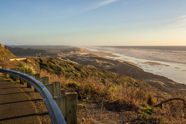 istock Coastline highway  in Oregon in dunes area 1309371836