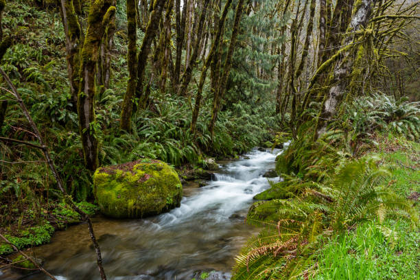 istock Water stream running over the rocks 1309371839