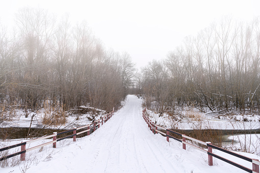 winter road across the river in the snow-covered forest. High quality photo