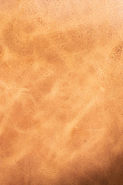 istock Brown textured leather for design template and background.Shoe industry 1309375542