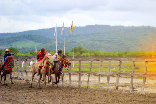 Main jaran is a Horse racing, compete quickly to reach the finish line, Kuda liar sumbawa : Indonesia march, 25 2021 Main jaran is a Horse racing, compete quickly to reach the finish line, Kuda liar sumbawa : Indonesia march, 25 2021 kentucky derby stock pictures, royalty-free photos & images