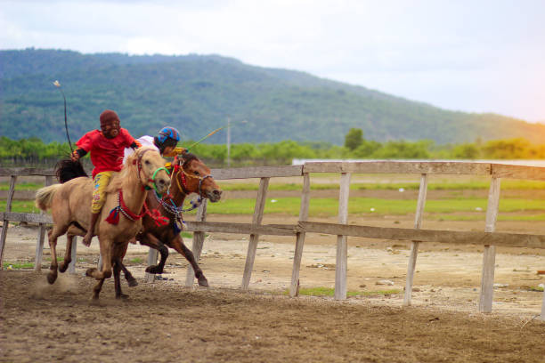 Main jaran is a Horse racing, compete quickly to reach the finish line, Kuda liar sumbawa : Indonesia march, 25 2021 Main jaran is a Horse racing, compete quickly to reach the finish line, Kuda liar sumbawa : Indonesia march, 25 2021 kentucky derby stock pictures, royalty-free photos & images