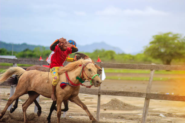 Main jaran is a Horse racing, compete quickly to reach the finish line, Kuda liar sumbawa : Indonesia march, 25 2021 Main jaran is a Horse racing, compete quickly to reach the finish line, Kuda liar sumbawa : Indonesia march, 25 2021 kentucky derby stock pictures, royalty-free photos & images